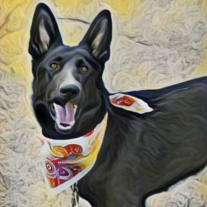 Meet your Posher, Sharon